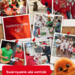 A dunakeszi Auchan ismét a környéken élőket támogatta (X) 0 Auchan helyi kapcsolatok grafika