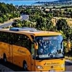 busz